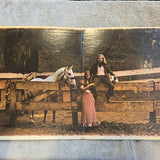 VAN MORRISON TUPELO HONEY BUTTERFLY NO POSTER