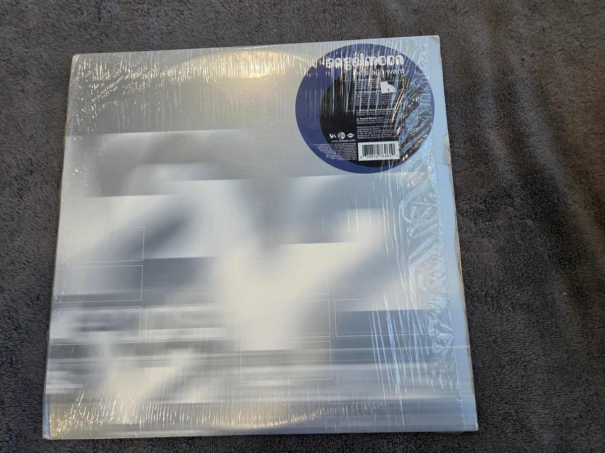 ANGELMOON HES ALL I WANT 12"