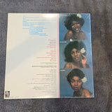 SASSAFRAS S/T NEW