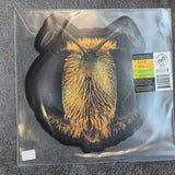 KING GIZZARD & THE LIZARD WIZARD BIG FIG WASP RSD NEW