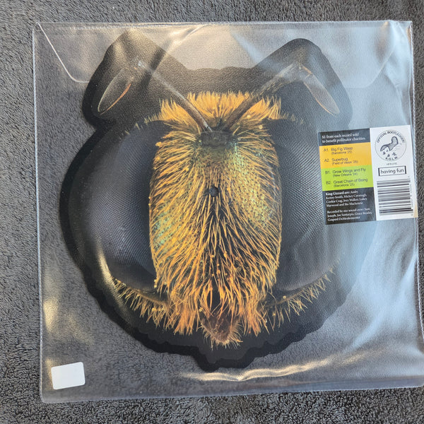 KING GIZZARD & THE LIZARD WIZARD BIG FIG WASP RSD NEW