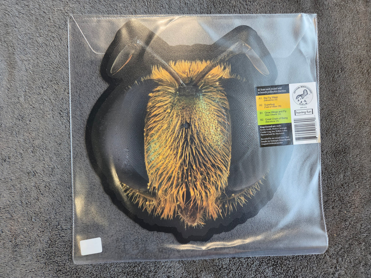 KING GIZZARD & THE LIZARD WIZARD BIG FIG WASP RSD NEW
