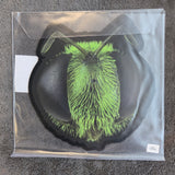 KING GIZZARD & THE LIZARD WIZARD BIG FIG WASP RSD NEW