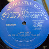 DAVY DMX ONE FOR THE TREBLE 12"