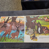 DISNEY BAMBI