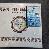SALT CITY ORCHESTRA STORM 12"