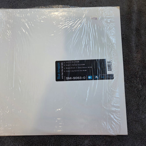 BLUE AMAZON AND THEN THE RAIN FALLS 12"