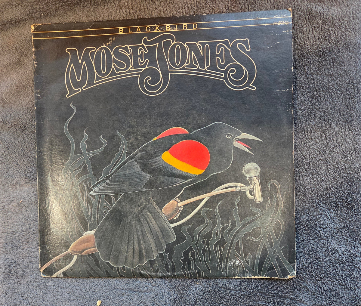 MOSE JONES BLACKBIRD