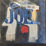 JOE WILSON COME INSIDE WLP