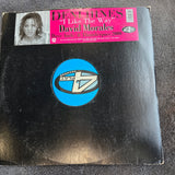 DENI HINES I LIKE THE WAY 12"