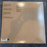 PET SHOP BOYS I DONT KNOW WHAT 12"