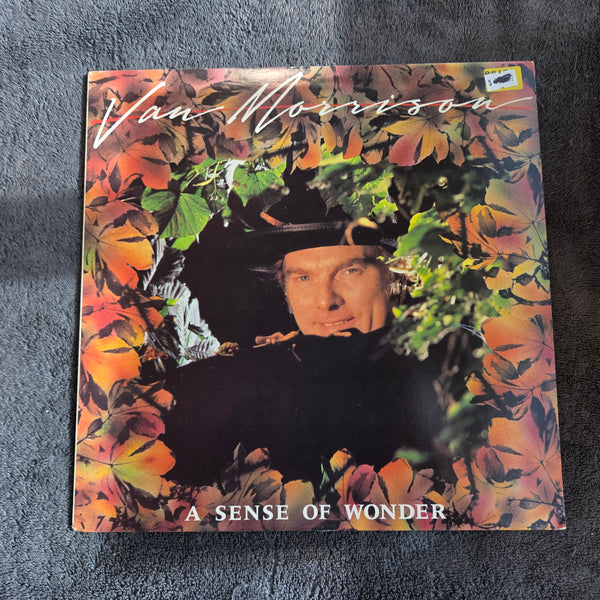 VAN MORRISON A SENSE OF WONDER