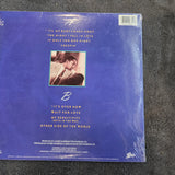 LUTHER VANDROSS THE NIGHT I FELL