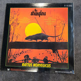 STRANGLERS RATTUS NORVEGICUS NL IMP