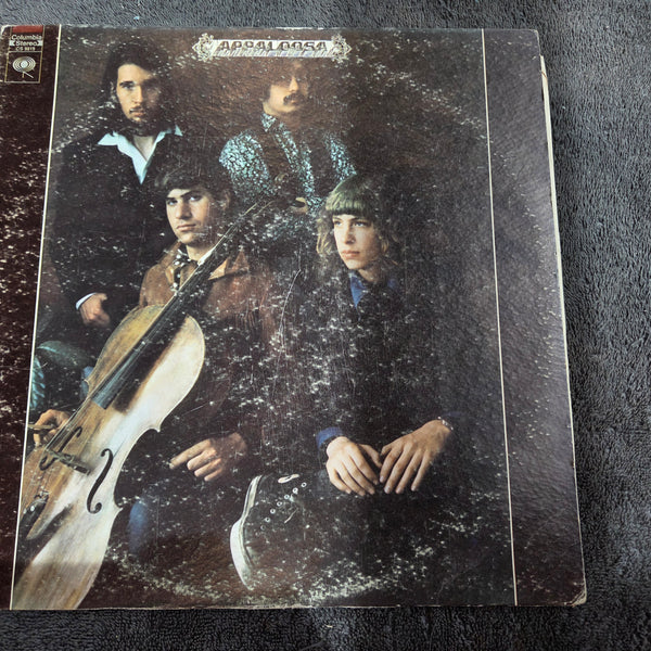 APPALOOSA S/T