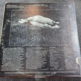 APPALOOSA S/T