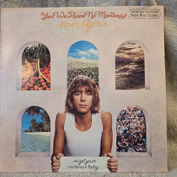 KEVIN AYERS YES WE HAVE NO MANANAS