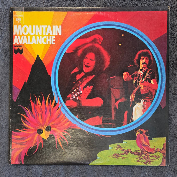 MOUNTAIN AVALANCHE