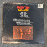 MOUNTAIN AVALANCHE