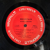 MOUNTAIN AVALANCHE