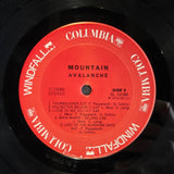 MOUNTAIN AVALANCHE