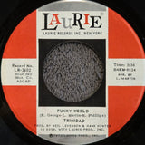 TRINIDAD SHAME AND SCANDAL IN THE FAMILY 7"