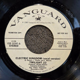 TWILIGHT 22 ELECTRIC KINGDOM WLP 7"