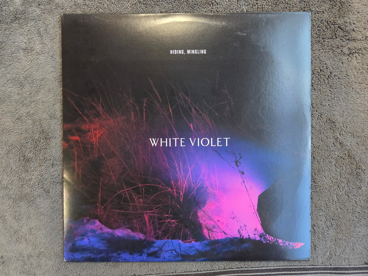 WHITE VIOLET HIDING MINGLING