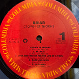 BRIAR CROWN OF THORNS