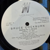 BRUCE COCKBURN WAITING FOR A MIRACLE