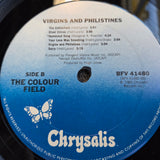 COLOUR FIELD VIRGINS AND PHILISTINES