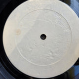 ELVIS COSTELLO SHAKEN NOT STIRRED
