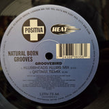 NATURAL BORN GROOVES GROOVEBIRD UK IMP 12"