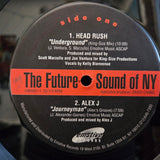 FUTURE SOUND OF NY EMOTIVE RECORDS V/A