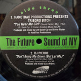 FUTURE SOUND OF NY EMOTIVE RECORDS V/A