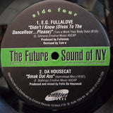 FUTURE SOUND OF NY EMOTIVE RECORDS V/A