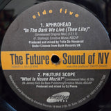 FUTURE SOUND OF NY EMOTIVE RECORDS V/A