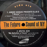 FUTURE SOUND OF NY EMOTIVE RECORDS V/A