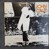 JOHN CALE ANIMAL JUSTICE IMPORT