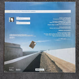 DANILOVE POLITICS IS A JUNGLE ITA IMP 12"