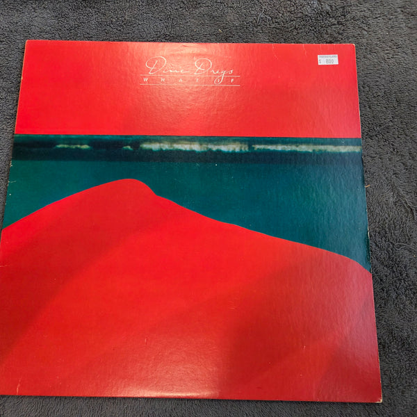 DIXIE DREGS WHAT IF