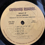 DIXIE DREGS WHAT IF