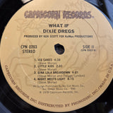 DIXIE DREGS WHAT IF