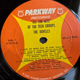 DOVELLS ALL THE HITS OF THE TEEN GROUPS