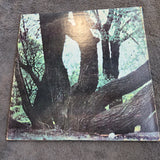 FAT MATTRESS S/T