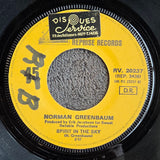 NORMAN GREENBAUM SPIRIT IN THE SKY IMP FRA PS 7"