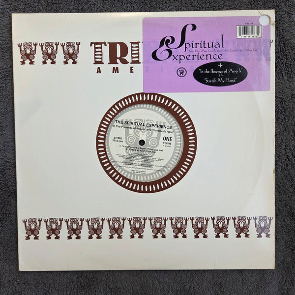 SPIRITUAL EXPERIENCE IN THE PRESENCE OF ANGELS 12"
