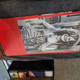 JANIS JOPLIN IN CONCERT