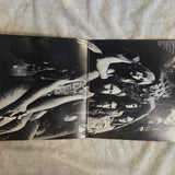 STEELY DAN PRETZEL LOGIC 1P ABC