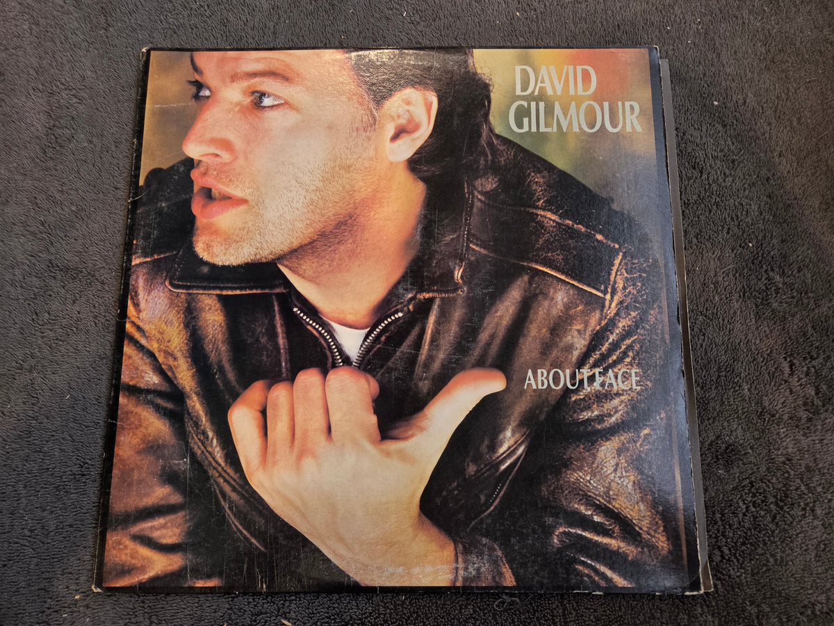 DAVID GILMOUR ABOUT FACE